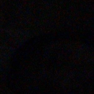 Meet your Posher, Mikey